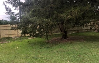 AU PARTY On The PLAINS/Private Campsite/Delivery