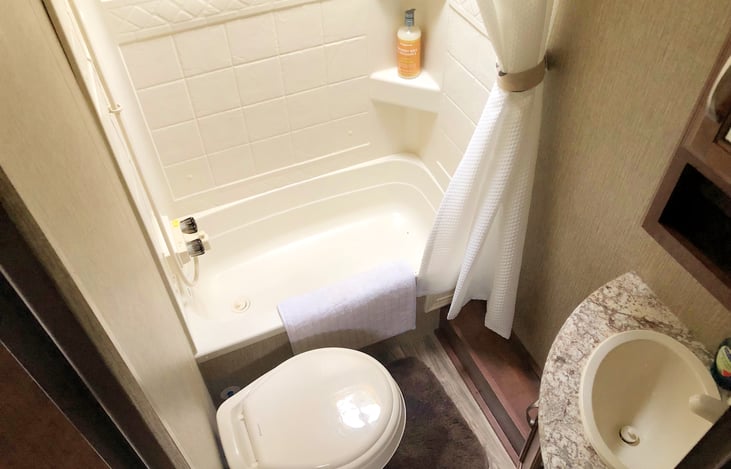 Shower, toilet, sink