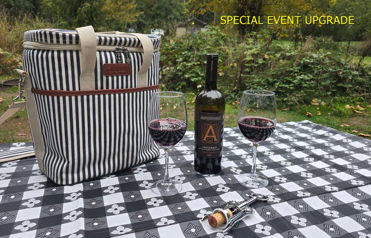 Special event upgrade - Wine cooler holds glasses and bottles. Total of 6 interior pockets. Bottle opener included.