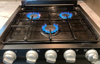 Amazing Adventures-Book Today Pet & Kiddo Friendly