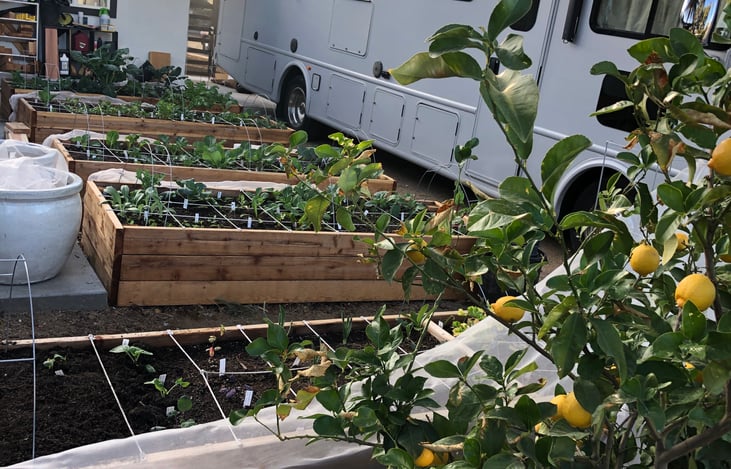 The RV at home in our organic garden