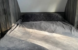 2021 Forest River RV Salem FSX 167RBK