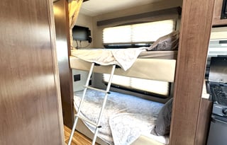 2019 Thor Motor Coach A.C.E. 30.2