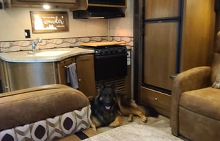 2015 Coachmen RV Leprechaun 317SA Ford 450