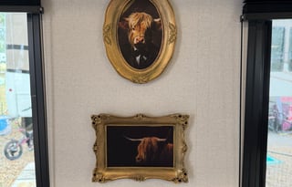 Welcome to HIGHLAND HIDEAWAY *Delivery Only*