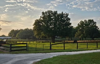 Galloping Getaway