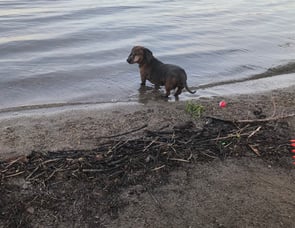 Holiday Rambler Vacationer 35DK