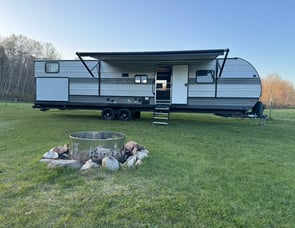 Forest River RV Salem 33TS