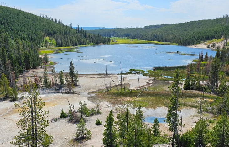NYMPH LAKE - Yellowstone NP 7/2024