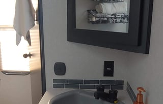 Beau Skye and Willow Dawn's Dog Friendly RV Rental