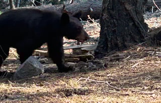 2021 Solis 59PX  seats/sleeps 4, w/ Generator +A/C