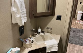 Family Friendly Palomino Puma