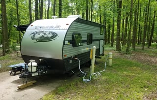 2019 Forrest river Wolf pup