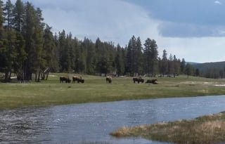 4WD All-Season "Judy" UNLIMITED MILES + Starlink