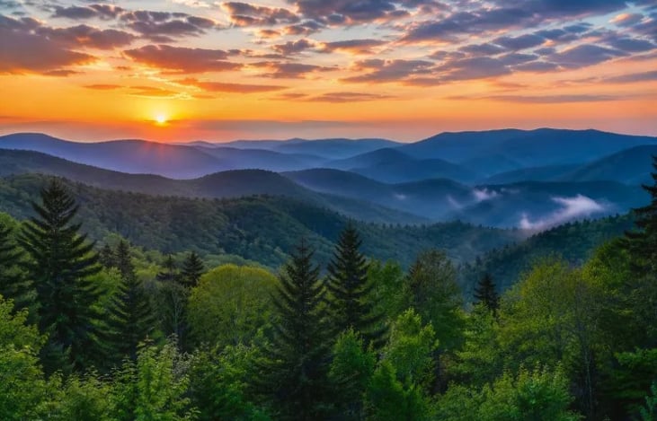 Come visit the beautiful Smokey Mountains!  There is so much to do here!