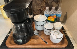 Family Friendly Palomino Puma