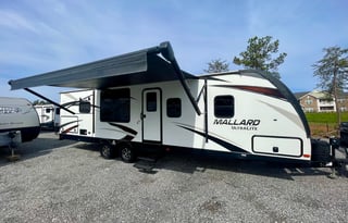 MALLARD MEMORIES 864