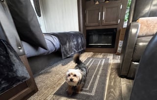 2019 Forest River Cherokee 274RK