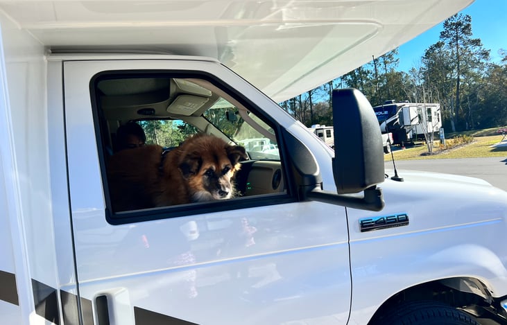 A vacation would not be complete without the fluffy members of your family!  Our RV is pet friendly, with an additional pet deposit.
