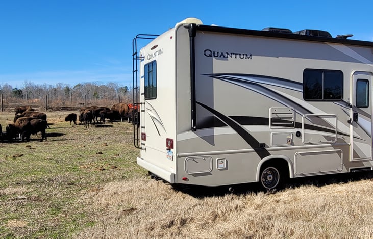 Out enjoying the Bison Ranch in Greensboro, Ga.