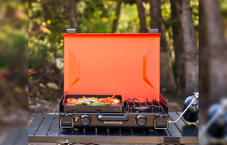 New 2025 Rockwood Geo Pro G20BH