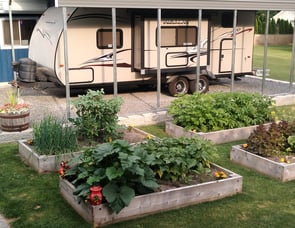 Komfort Trailblazer 249BH