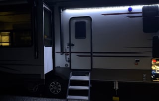 Marigold, Pet & Kid Friendly Fun