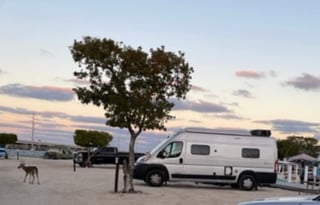 2023 Winnebago Solis 59PX