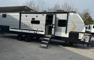 J&M Torres Family palomino