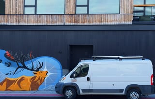 Ramona the ProMaster