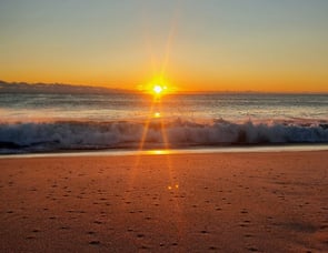 Dutchmen RV Coleman Lantern Series 242BH