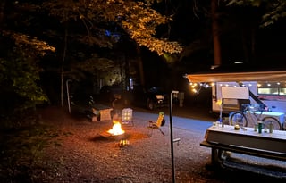 2020 Forest River RV Wildwood FSX 179DBKX