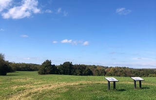 Get Moooovin and Van DCamp!