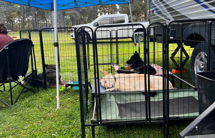 18 panel dog fence and canopy included as well as outdoor chairs and outdoor rug. An outdoor table for prepping food is also included. Can include dog cots if you wish.