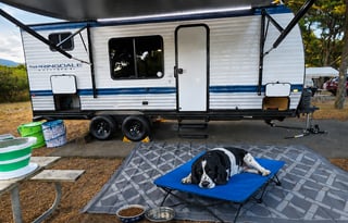 2025 Springdale +Bunkhouse + Dog Friendly + Loaded