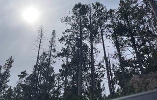 "Wilma". A 2023 EAST TO WEST Entrada 2900DS