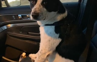 WINNEBAGO TRAVATO Camper Van for winter travels !