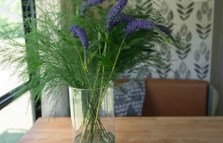 2012 Jayco Flight family friendly no cleaning fee!