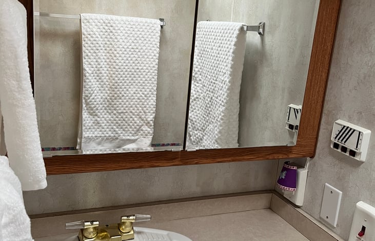 Sink and toilet are separate from the shower