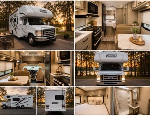 Thor Motor Coach Thor Coleman 22EQF