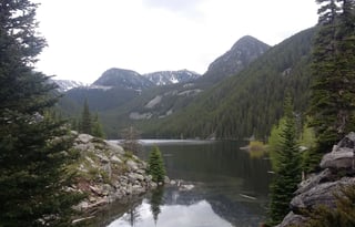 4WD All-Season "Jane" UNLIMITED MILES + Starlink