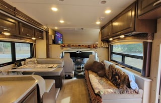 The Bear Necessities