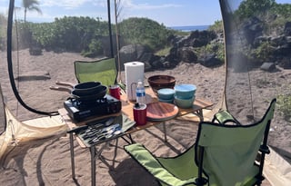 2019 TOYOTA MPVH/ ROOFNEST