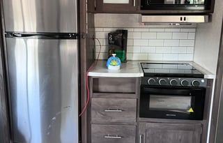 Pet friendly 2021 lantern