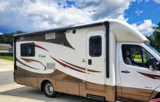 Fiona Chocolate - (good) dog friendly!