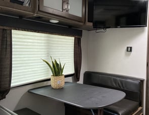 Keystone RV Passport 195RBWE Express