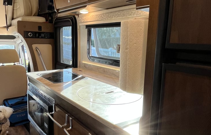 2 burner gas stove with convection microwave underneath...nice sink with a cover so work space expands