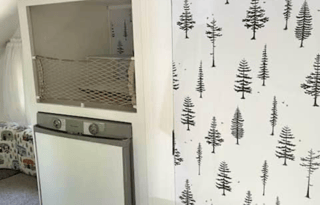 2009 Forest River RV Pod 172