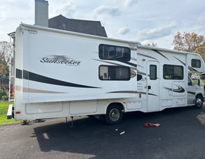 Forest River RV Sunseeker 3010DS Ford