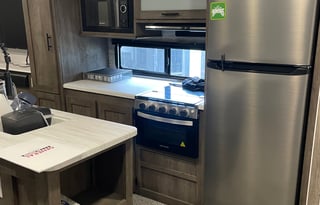 "Forest" - 2022 Forest River Salem